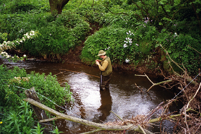 Upper Cod Beck, Above Sowerby Waters.Reproduced with the kind consent of Neil Perry.